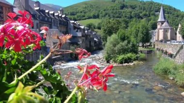 Torrent, Arreau köyünde. Pyrenes Dağları. Güney Fransa