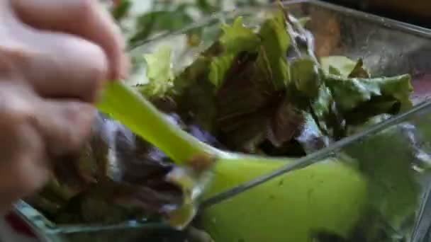Mezcla Ensalada Verduras Con Espátulas — Vídeos de Stock