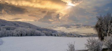 Kışın karlı bir manzara.