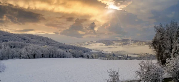 Kışın karlı bir manzara.