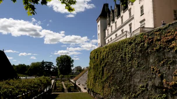 Castelo Pau Pyrenes Atlantiques França — Vídeo de Stock