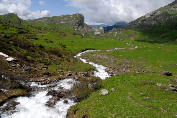 Panorama Torrente Fluxo Vale Verde Montanhas Alpes — Fotografia de Stock