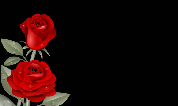 Rote Rosen Illustration Auf Schwarzem Hintergrund — Stockfoto