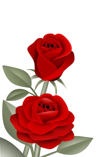 Red Roses Illustration White Background — Stock Photo, Image