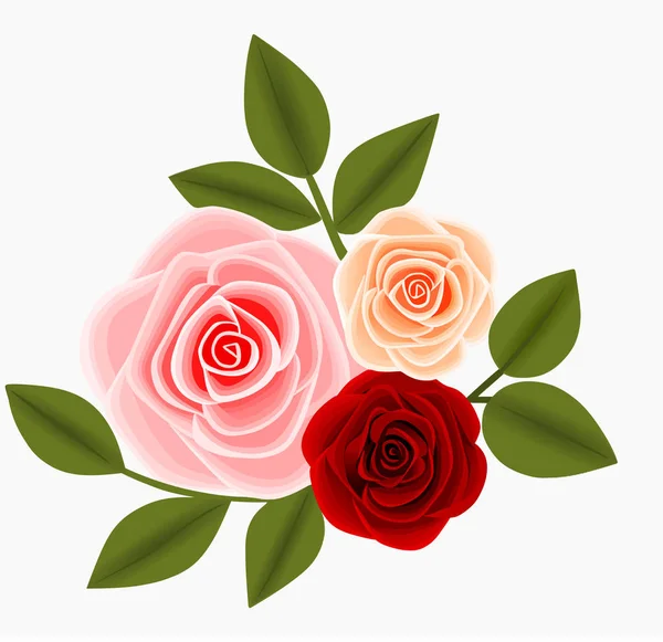 pink, red and peachy roses illustration