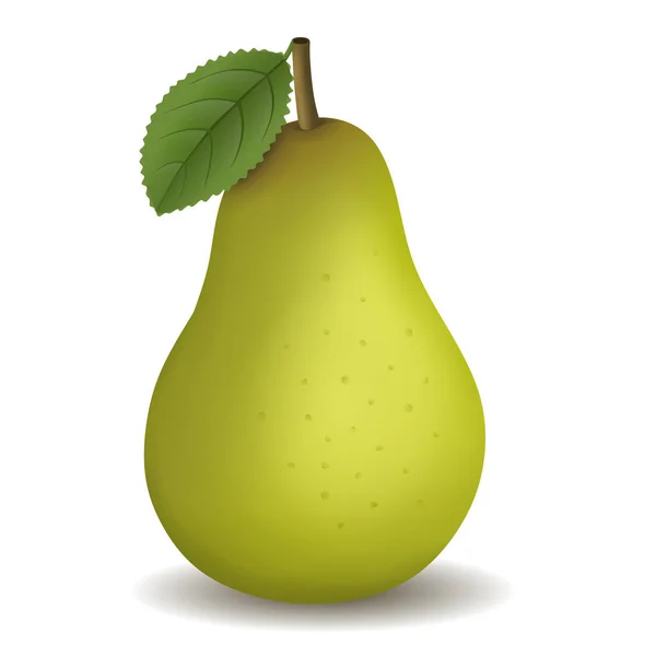 Isolated Green Pear Illustration Vector — Stock Vector