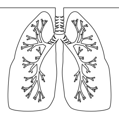 Tek sürekli çizgi sanat anatomik insan akciğerleri siluet vektör çizim çizim bir kroki anahat