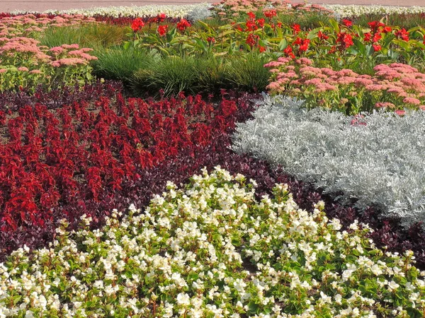 Spring Formal Garden. Beautiful garden of colorful flowers