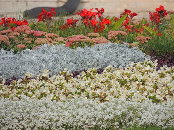 Spring Formal Garden. Beautiful garden of colorful flowers