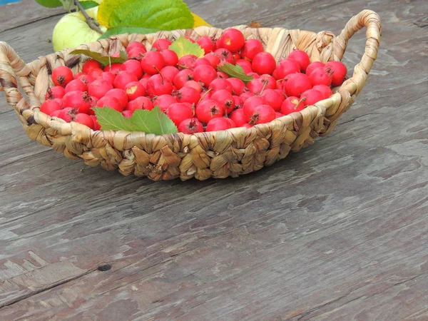 hawthorn berries in the basket.red berries with apples.