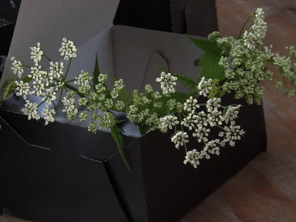 flowers in boxes made of black cardboard.boxes of flowers for cakes.