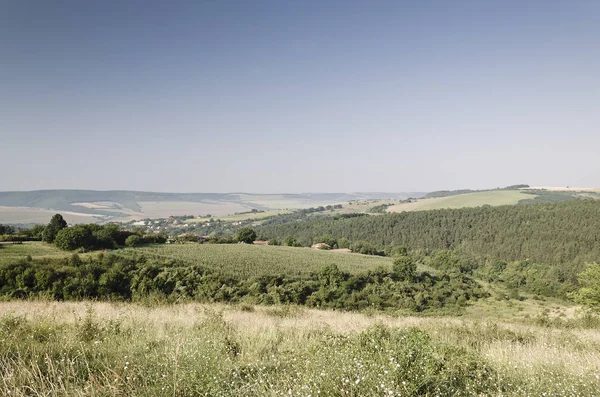 Sunny Blue Sky Meadow Hills Village Katselovo — Stock Photo, Image