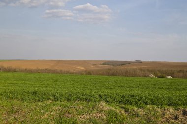 Bahar sonunda üzerinde gökyüzü mavi