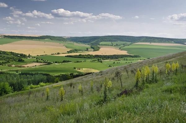 Zelená Pole Krajina Krásná Vesnice Severním Bulharsku — Stock fotografie