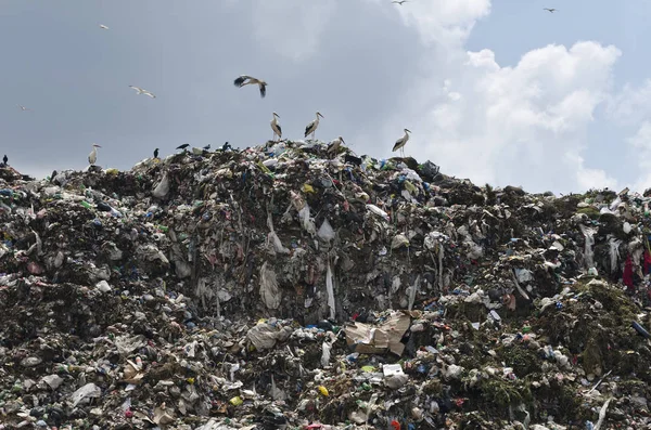 Pollution concept. Garbage pile in trash dump or landfill