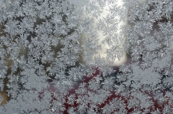 Icy Flowers Glass Blur Frozen Window — Stock Photo, Image