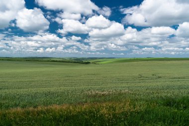 Fırtınada tarım alanına yakın.
