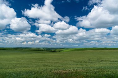 Fırtınada tarım alanına yakın.