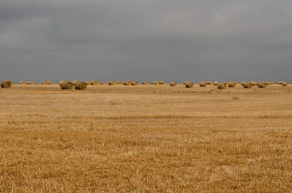 Straw Bales Fields Northern Bulgaria — Stock Photo, Image