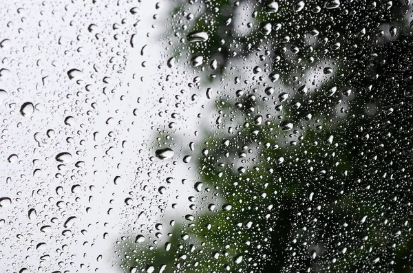 Regndroppar Fönsterglaset Den Regniga Dagen — Stockfoto