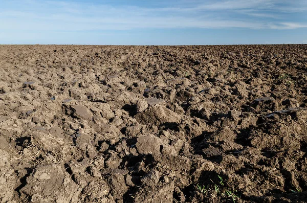 Gepflügtes Feld Herbst Mit Blauem Himmel — Stockfoto