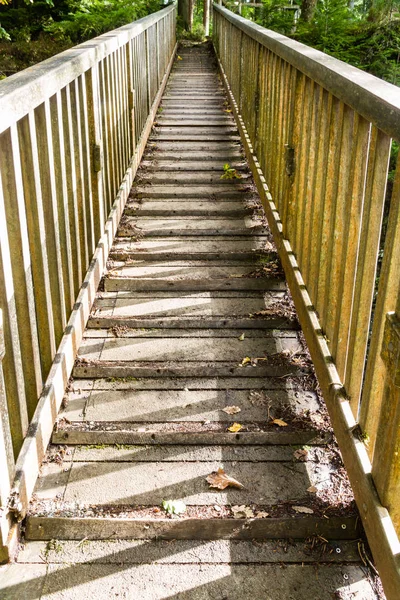 Looking Wood Footbridge Wooden Rails Sunlight Shadow — Stock Photo, Image