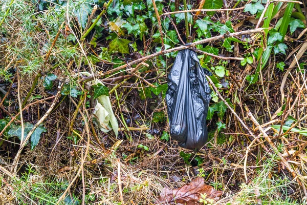 Köpek Kakası Kaka Çanta Sol Boşaltmak Ile Bir Bush Asılı — Stok fotoğraf