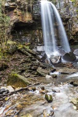 Güzel şelaleden aşağı yayılan su, Melincourt, portre