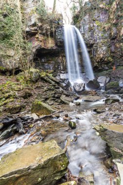 Güzel şelaleden aşağı yayılan su, Melincourt, portre, 