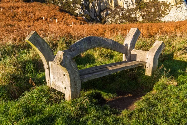 Wood carved bench on a sunny day — Stock Photo, Image