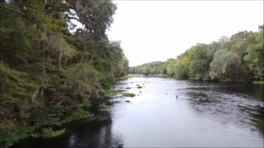 Bir Crane, Florida 'daki High Springs yakınlarındaki Santa Fe Nehri' nin büyük bir kısmını gösteriyor.