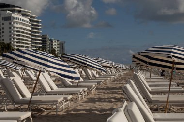 Miami Plajı 'nda beyaz ve mavi çizgili güneş şemsiyeleri 