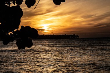 las terrenas inanılmaz gün batımı, Dominik Cumhuriyeti: doğal görünümü