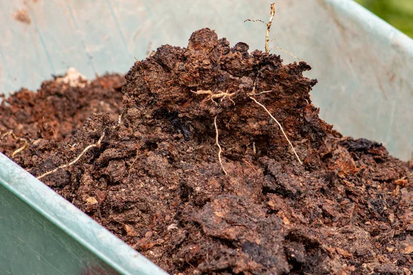 Mest: biologische bio natuurlijke meststof in een kruiwagen. Farm l — Stockfoto