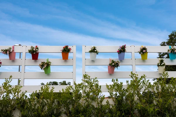 Färgade blommor och vas dekoration — Stockfoto