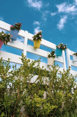 Renkli çiçekler ve vazo dekorasyonu