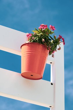 Renkli çiçekler ve vazo dekorasyonu