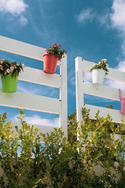 Renkli çiçekler ve vazo dekorasyonu