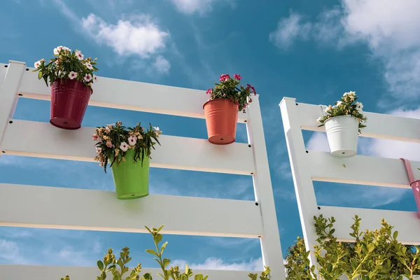 Renkli çiçekler ve vazo dekorasyonu