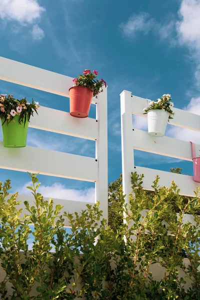 Färgade blommor och vas dekoration — Stockfoto