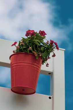 Renkli çiçekler ve vazo dekorasyonu