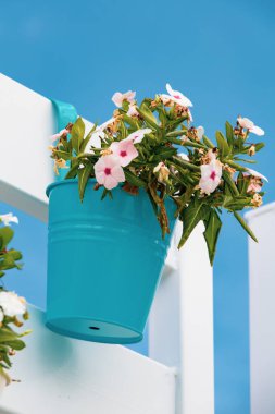 Renkli çiçekler ve vazo dekorasyonu