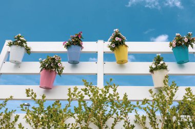 Renkli çiçekler ve vazo dekorasyonu