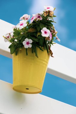 Renkli çiçekler ve vazo dekorasyonu