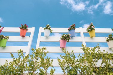 Renkli çiçekler ve vazo dekorasyonu