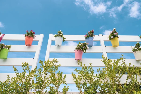 Färgade blommor och vas dekoration — Stockfoto