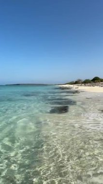 Güzel, ıssız plaj Playa de la Cueva, Cabo Rojo, Dominik Cumhuriyeti, Haiti sınırında. Sakin, kristal gibi berrak, turkuaz Karayip denizi. Huzurlu bir tatil, hiç kimse. Dikey video.