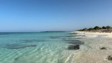 Güzel, terk edilmiş Playa de la Cueva plajı Cabo Rojo, Dominik Cumhuriyeti, Haiti sınırına yakın. Sakin, kristal gibi berrak, turkuaz Karayip denizi. Huzurlu bir tatil, hiç kimse. Yatay video