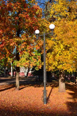 Fenerli Sonbahar Parkı. Sonbahar parkında Fener.