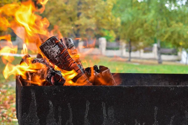 Fire flame on wood in a barbecue